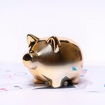 mint mobile net worth