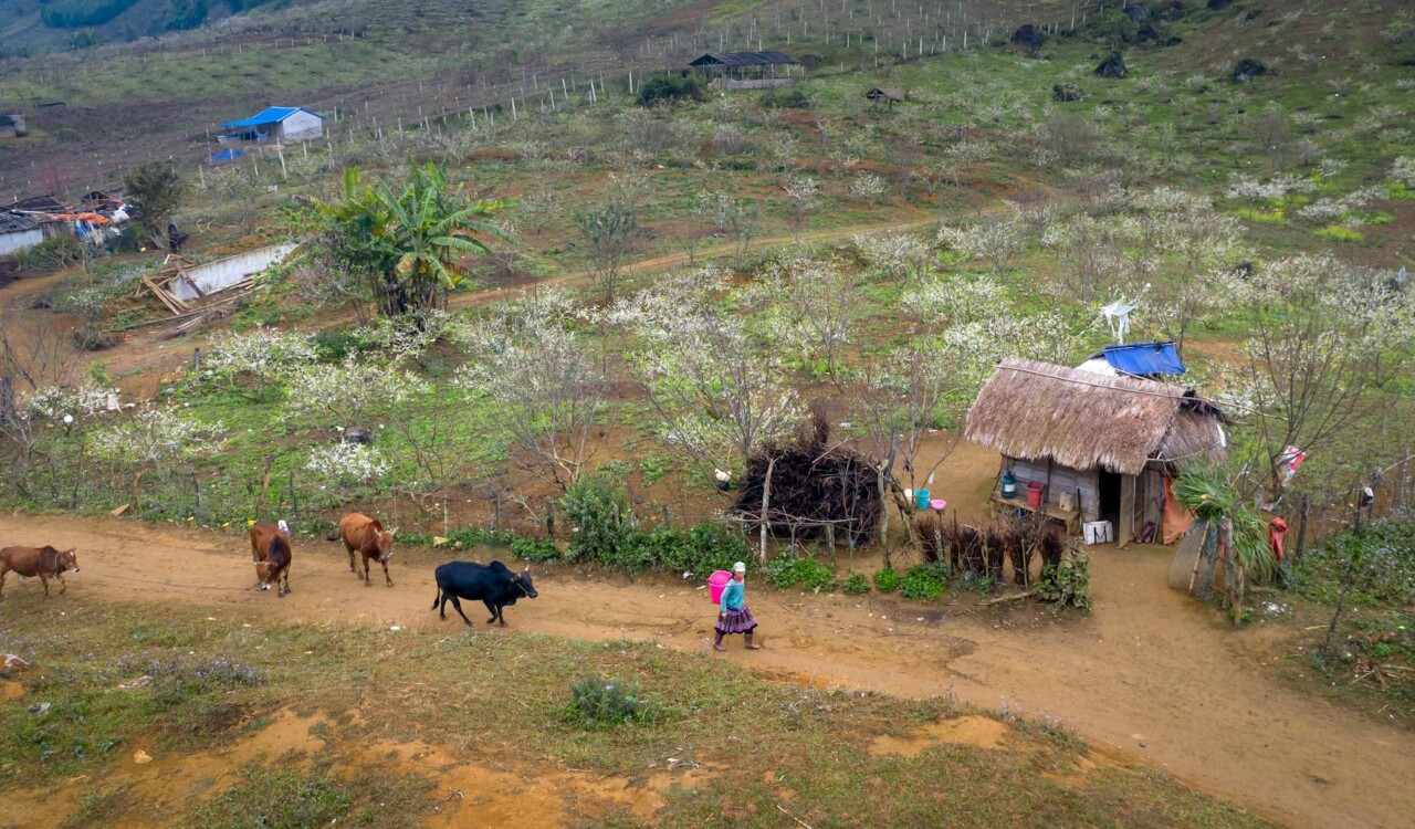 small farm grants